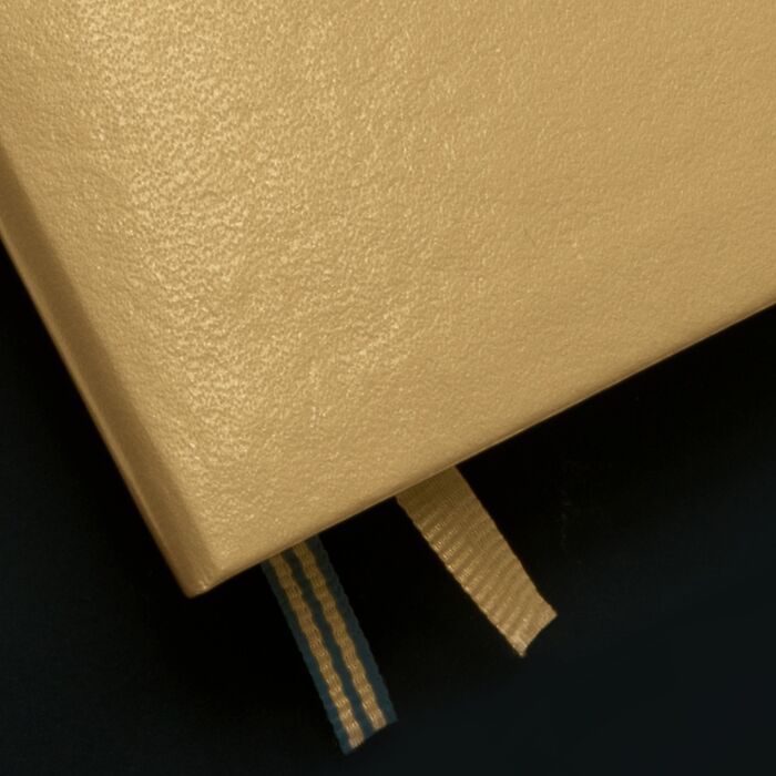 Metallic Edition Notebooks